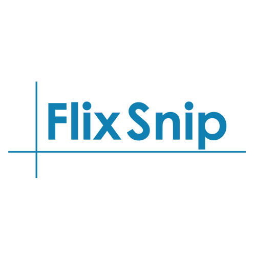 Z flix. FLIXSNIP фото канала. GAMESFIX логотип.